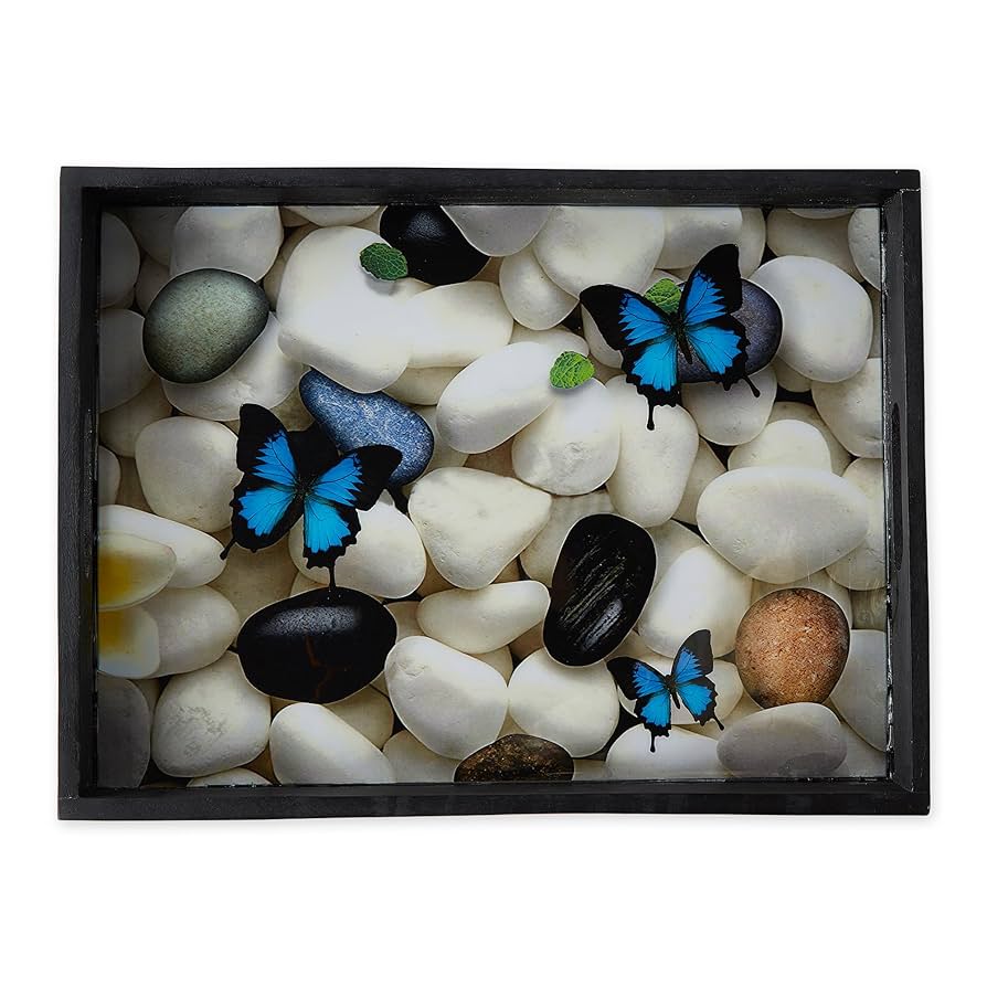 Amazon.com: Zingz & Thingz Butterfly Garden Collection